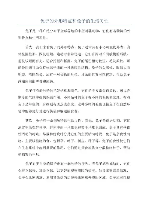 兔子的外形特点和兔子的生活习性