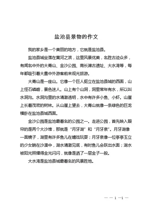 盐池县景物的作文