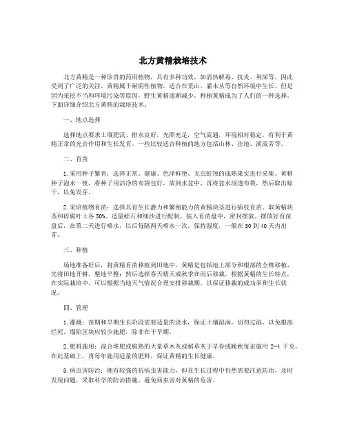 北方黄精栽培技术
