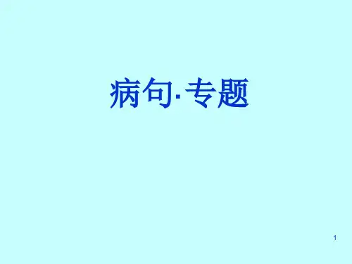 病句专题ppt课件