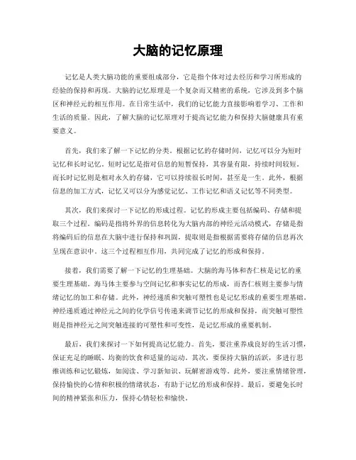 大脑的记忆原理