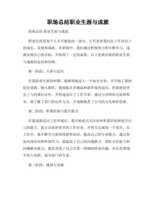 职场总结职业生涯与成就