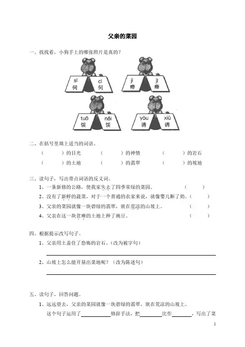 小学四年级语文《28父亲的菜园》同步练习(含答案)