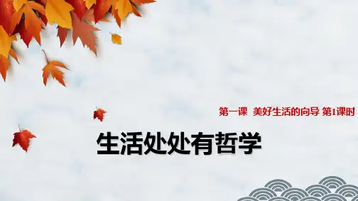 高中政治必修4精品课件9：1.1 生活处处有哲学
