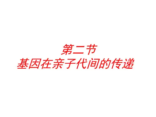 7.基因在亲子代间的传递课件(1)(人教版生物)