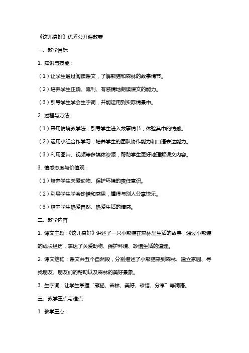 《这儿真好》公开课教案