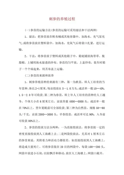刺参的养殖过程