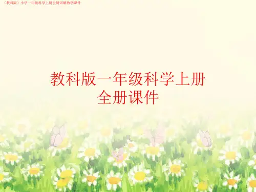 (教科版)小学一年级科学上册全册讲解教学课件