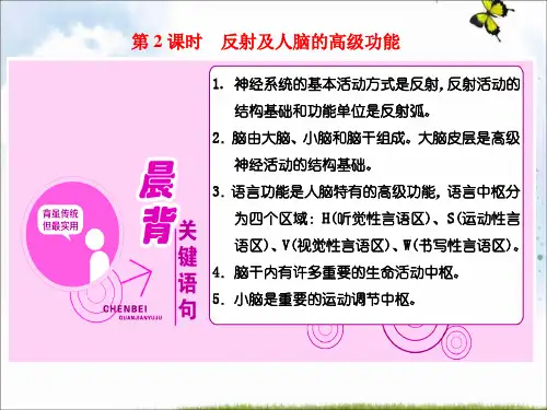 高中生物苏教版必修3课件：第二章 第二节 第2课时 反射及人脑的高级功能