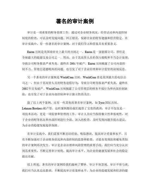 著名的审计案例