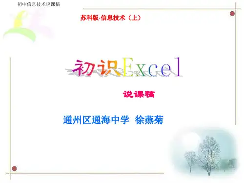初识excel说课