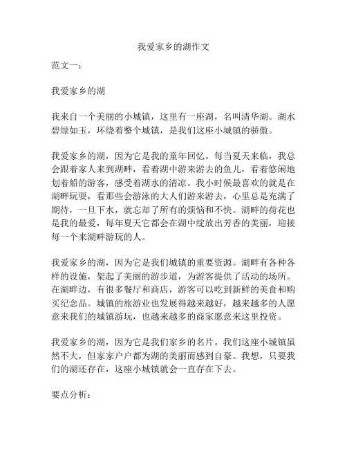 我爱家乡的湖作文