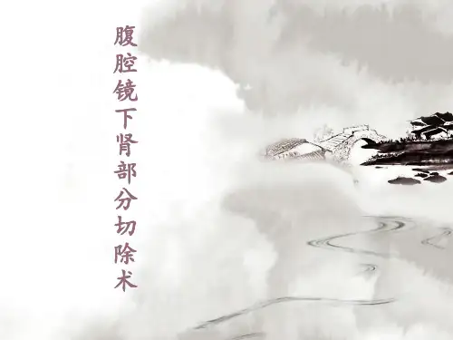 腹腔镜下肾部分切除术ppt课件