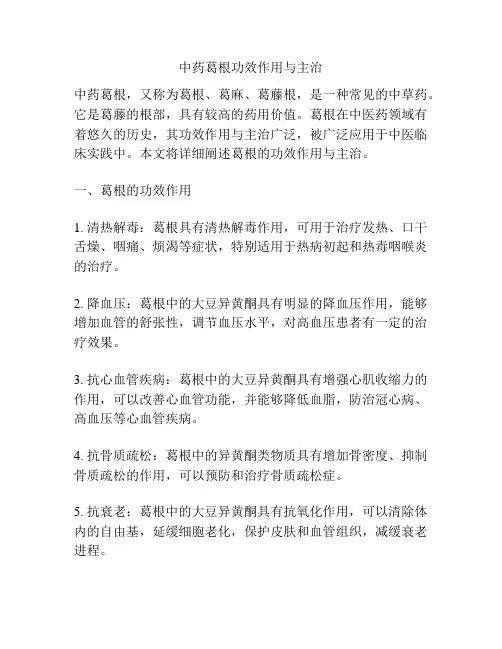 中药葛根功效作用与主治