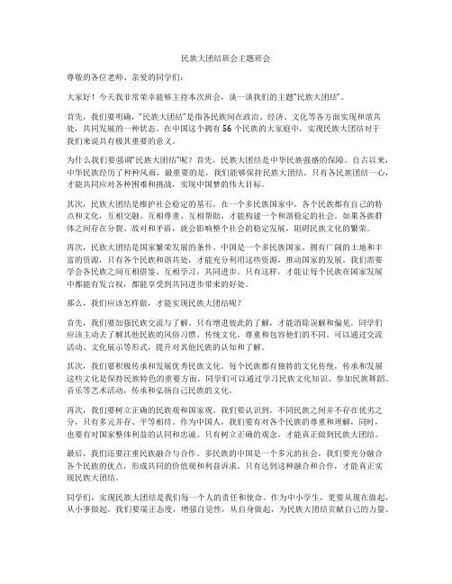 民族大团结班会主题班会