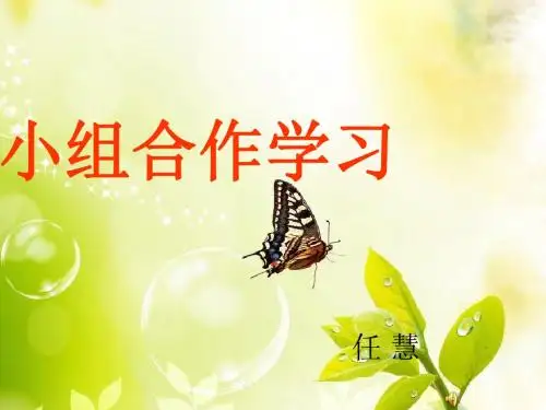 小组合作学习PPT