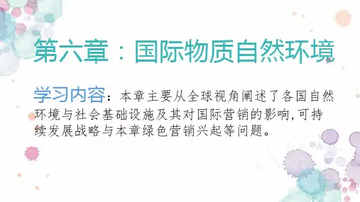 国际市场营销  第六章