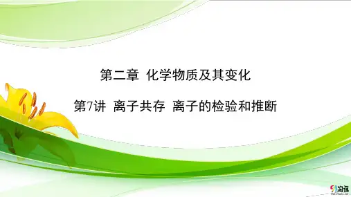 课件7：离子共存 离子的检验和推断