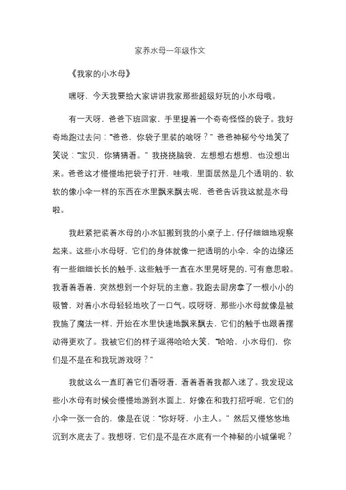 家养水母一年级作文