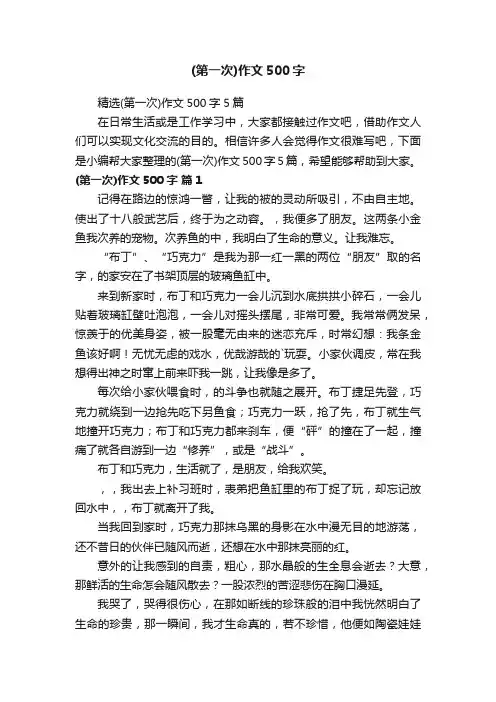 精选（第一次）作文500字5篇
