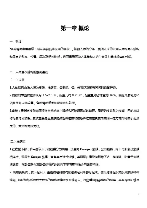 美容局部解剖学