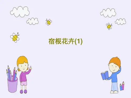 宿根花卉(1)共90页