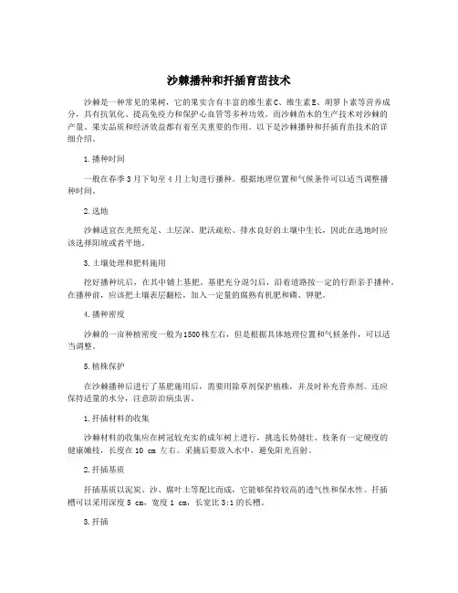 沙棘播种和扦插育苗技术