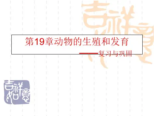 初中八年级(初二)生物课件 动物的生殖和发育