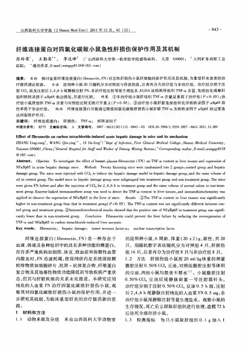 纤维连接蛋白对四氯化碳致小鼠急性肝损伤保护作用及其机制