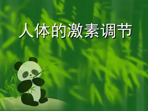 苏科版生物八上16.3《人体的激素调节》 课件(共31张PPT)