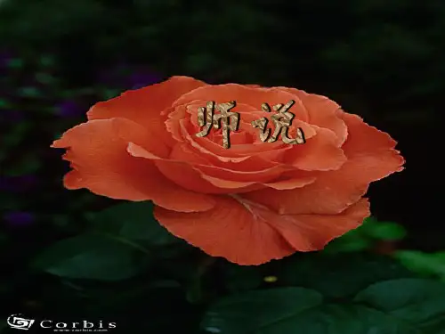 人教版必修三《师说》  字词解释、内容分析课件(32张PPT)