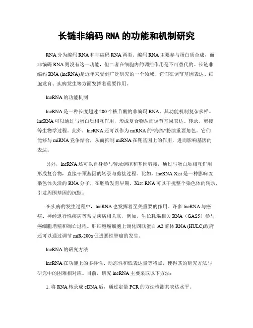 长链非编码RNA的功能和机制研究