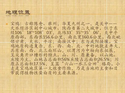 宝鸡小麦PPT课件