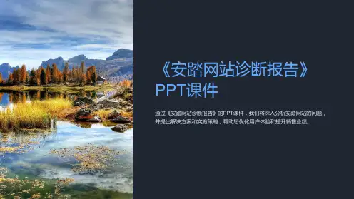 《安踏网站诊断报告》课件