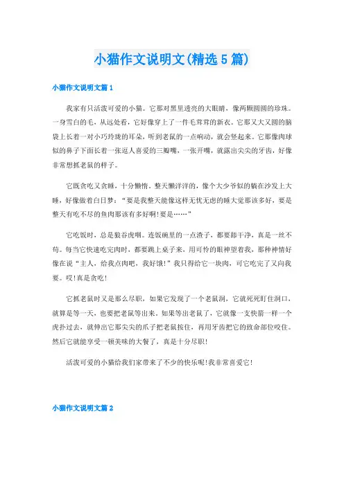 小猫作文说明文(精选5篇)