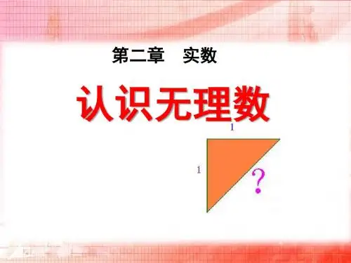 《认识无理数》实数PPT课件3 (共19张PPT)