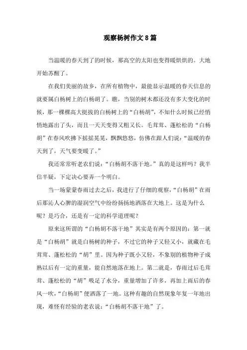 中小学观察杨树作文