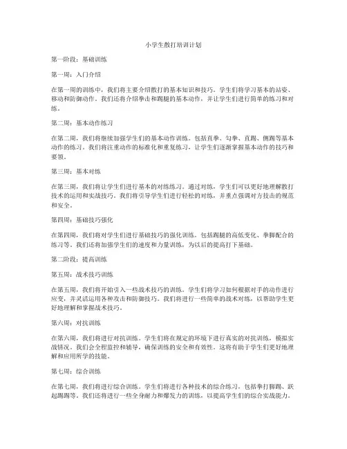 小学生散打培训计划