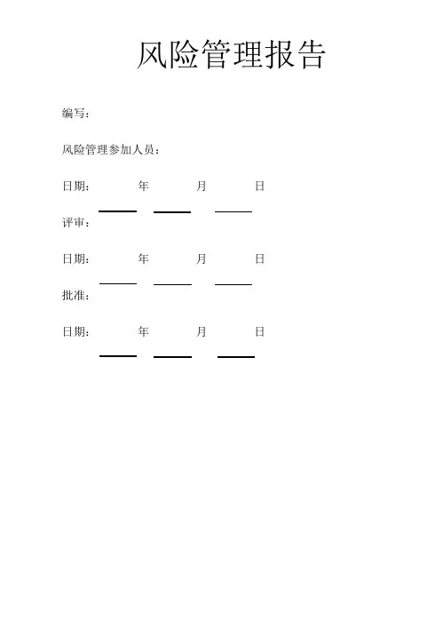 风险管理报告 -YY0316-2008