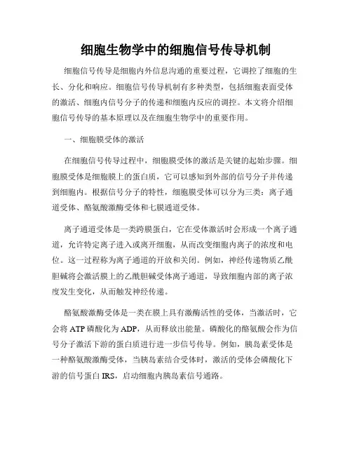 细胞生物学中的细胞信号传导机制