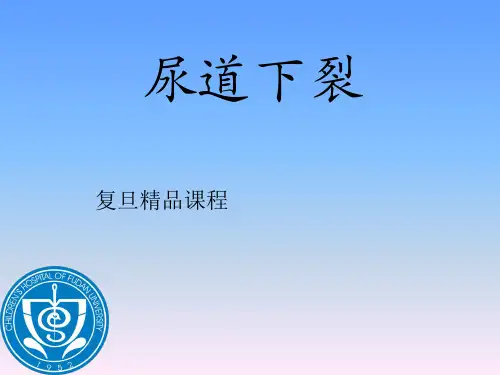 小儿外科 ：尿道下裂-复旦精品课程