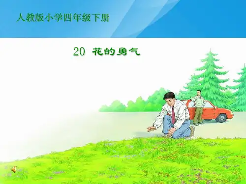 人教版四年级语文下册《花的勇气》课件PPT课件PPT