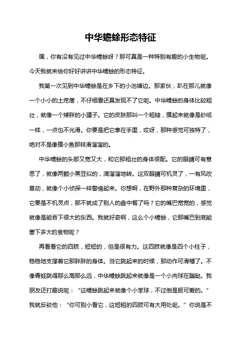 中华蟾蜍形态特征