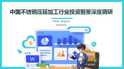 2023年中国不锈钢压延加工行业发展深度调研与投资前景研究报告