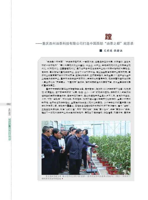 敢作善为：酉州油茶蹚新路——重庆酉州油茶科技有限公司打造中国西部“油茶之都”闻思录