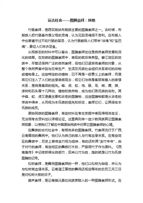 远古社会——图腾崇拜：其他