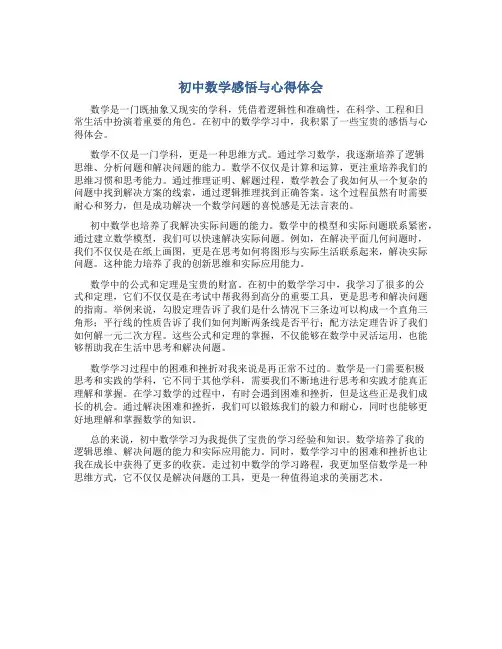 初中数学感悟与心得体会