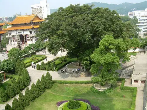 故乡的榕树