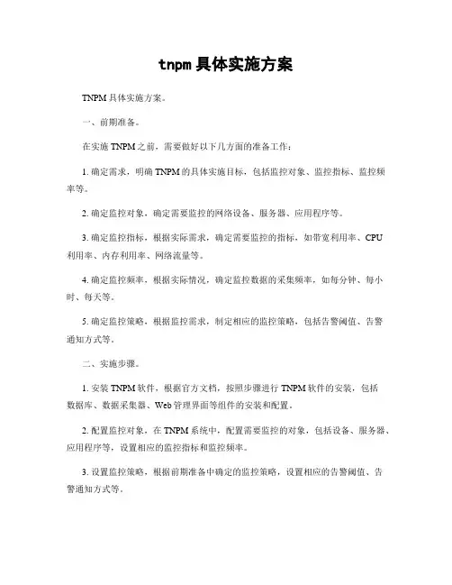 tnpm具体实施方案