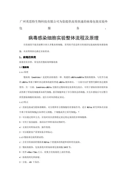 病毒包装实验整体流程及原理(慢病毒、腺病毒)